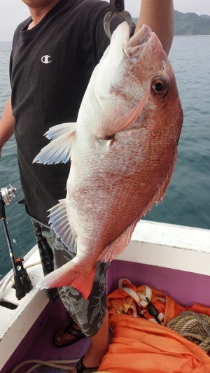 ���i�C���[�W