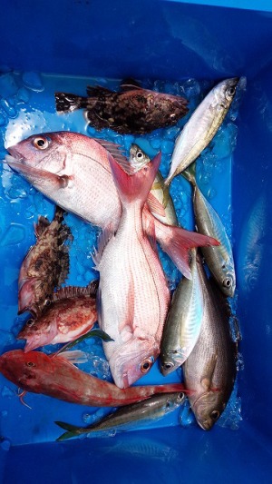 ���i�C���[�W