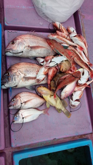 ���i�C���[�W