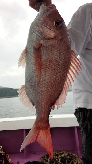 ���i�C���[�W