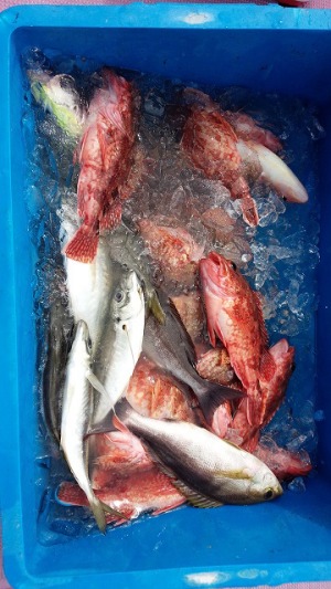 ���i�C���[�W