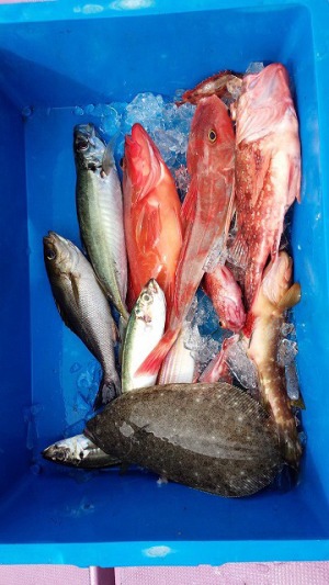 ���i�C���[�W