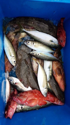 ���i�C���[�W