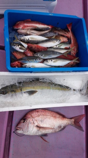 ���i�C���[�W