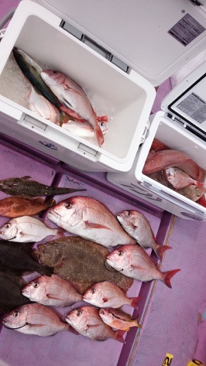 ���i�C���[�W