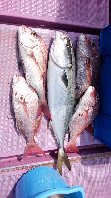 ���i�C���[�W