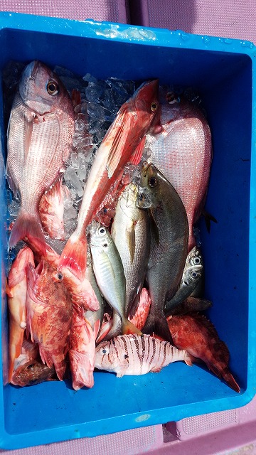 ���i�C���[�W