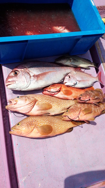 ���i�C���[�W