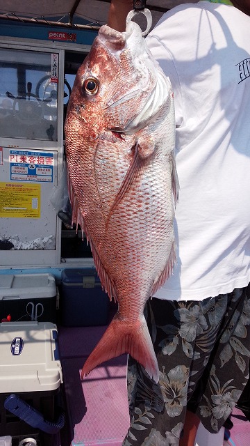 ���i�C���[�W