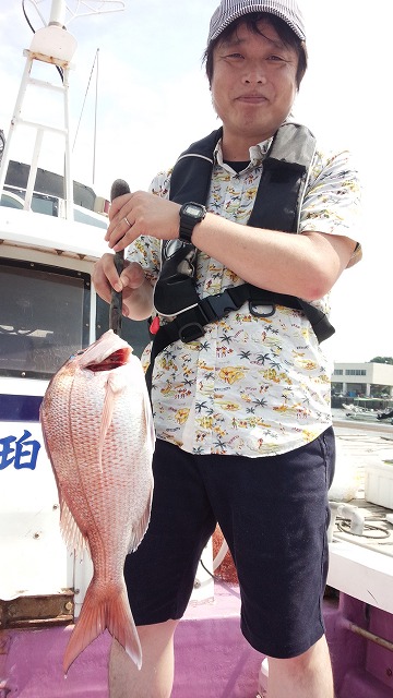 ���i�C���[�W