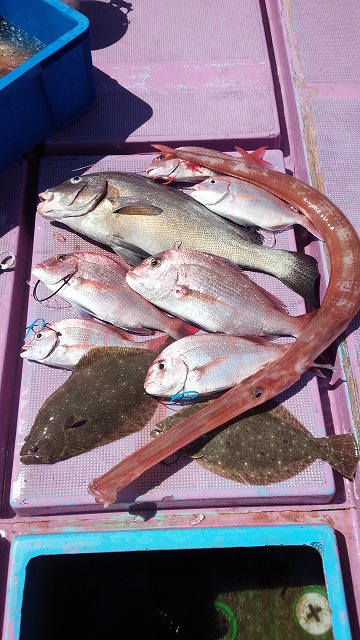 ���i�C���[�W