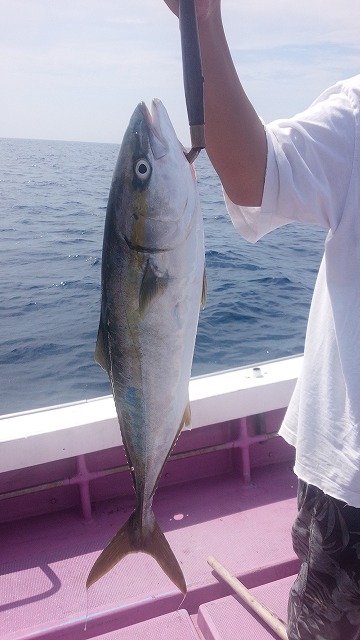 ���i�C���[�W