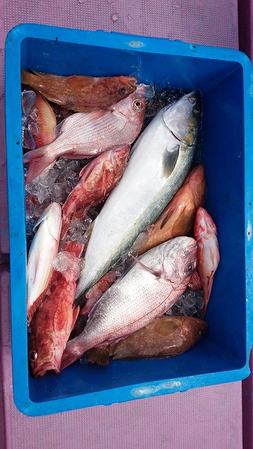 ���i�C���[�W