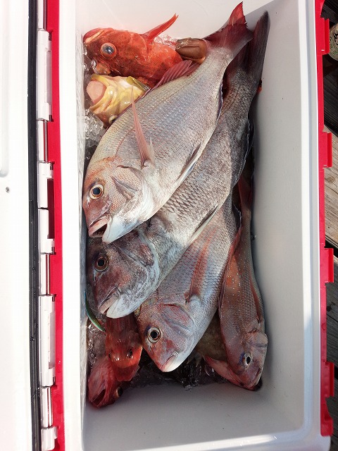 ���i�C���[�W