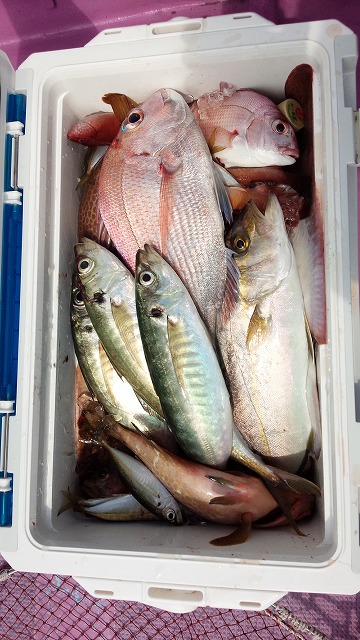 ���i�C���[�W