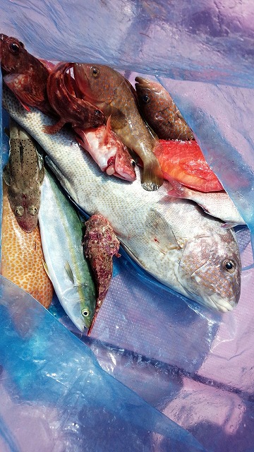 ���i�C���[�W