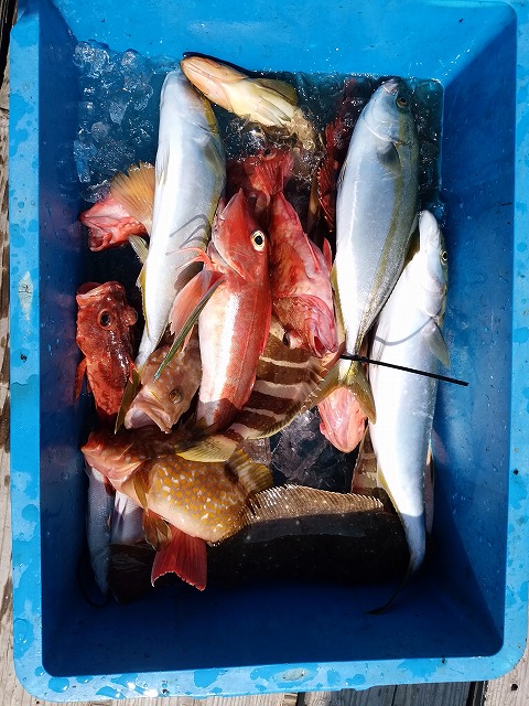 ���i�C���[�W