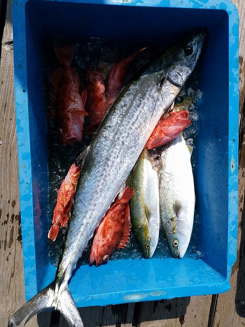 ���i�C���[�W