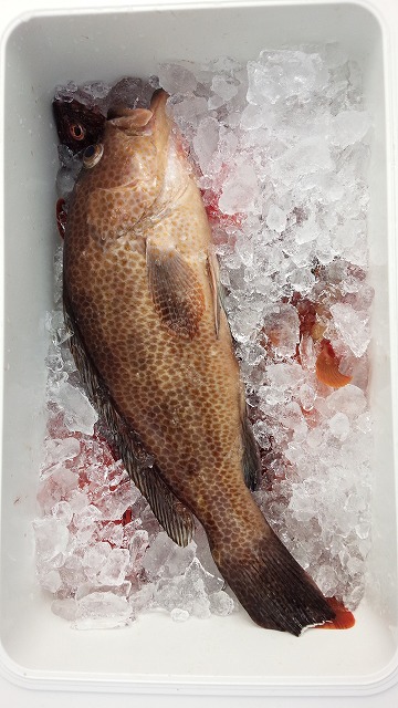 ���i�C���[�W