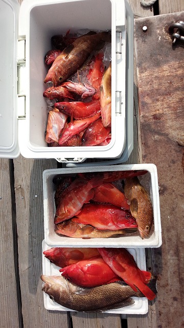 ���i�C���[�W