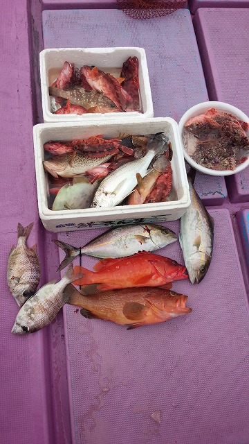 ���i�C���[�W