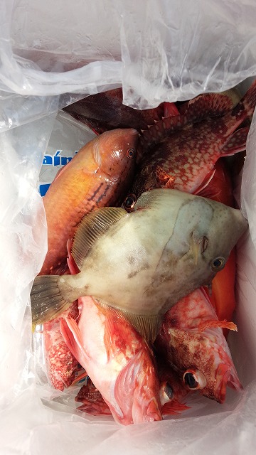 ���i�C���[�W