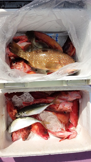 ���i�C���[�W