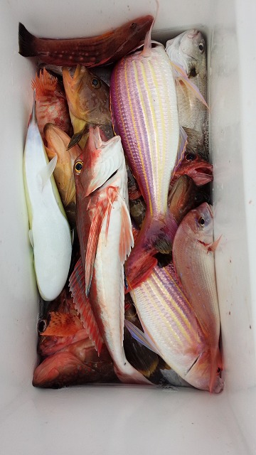 ���i�C���[�W