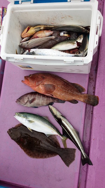 ���i�C���[�W