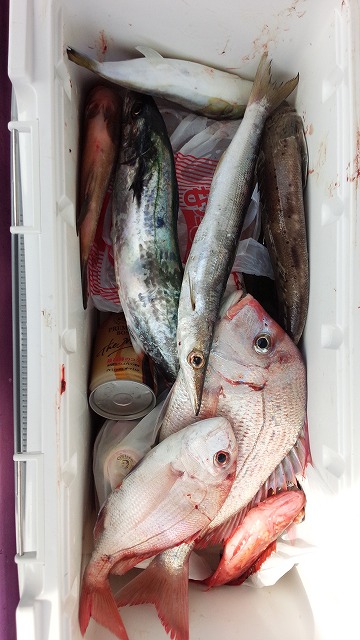 ���i�C���[�W