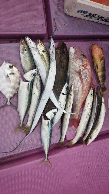 ���i�C���[�W