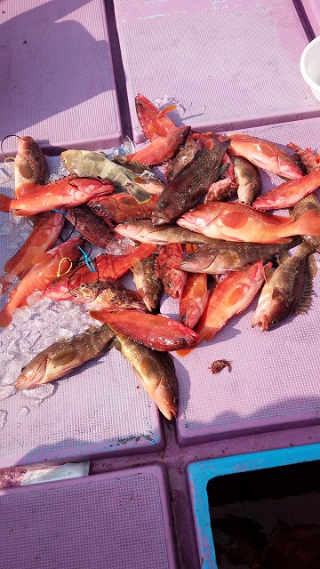 ���i�C���[�W