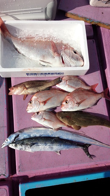 ���i�C���[�W