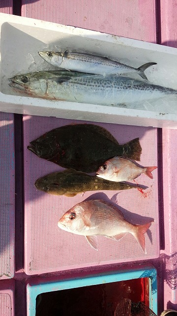 ���i�C���[�W