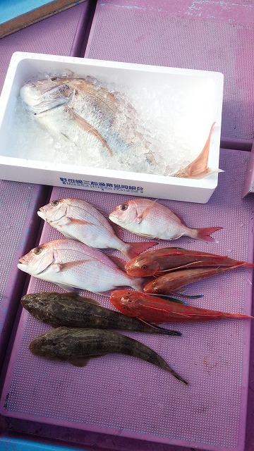 ���i�C���[�W