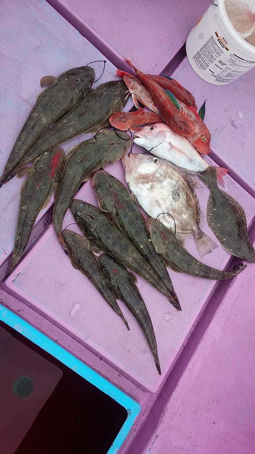 ���i�C���[�W