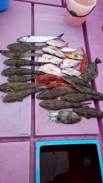 ���i�C���[�W