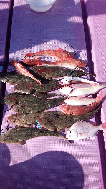 ���i�C���[�W