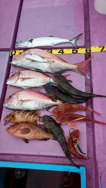 ���i�C���[�W