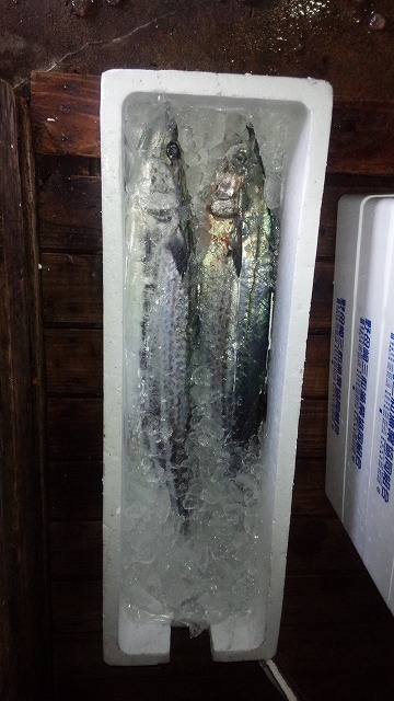 ���i�C���[�W