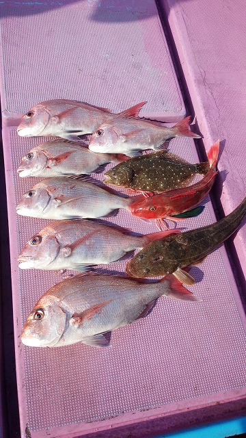 ���i�C���[�W