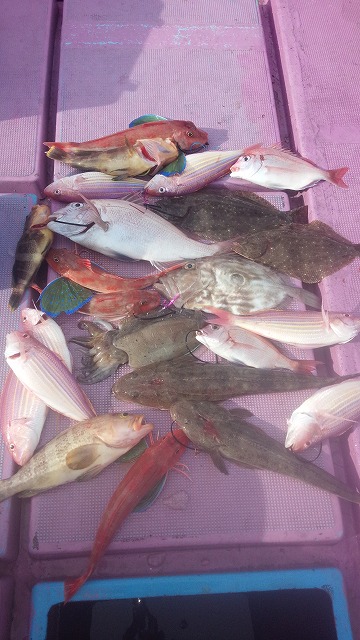 ���i�C���[�W