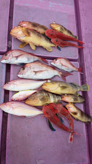 ���i�C���[�W