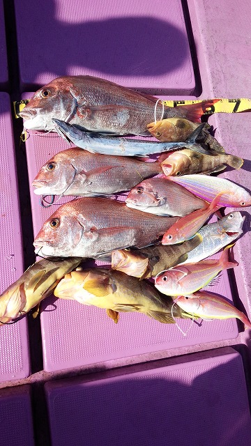 ���i�C���[�W