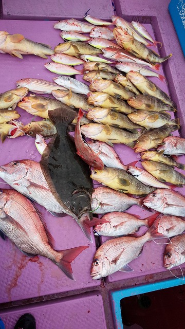 ���i�C���[�W