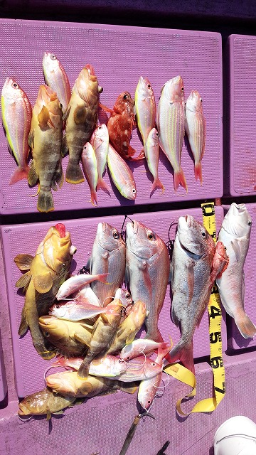 ���i�C���[�W