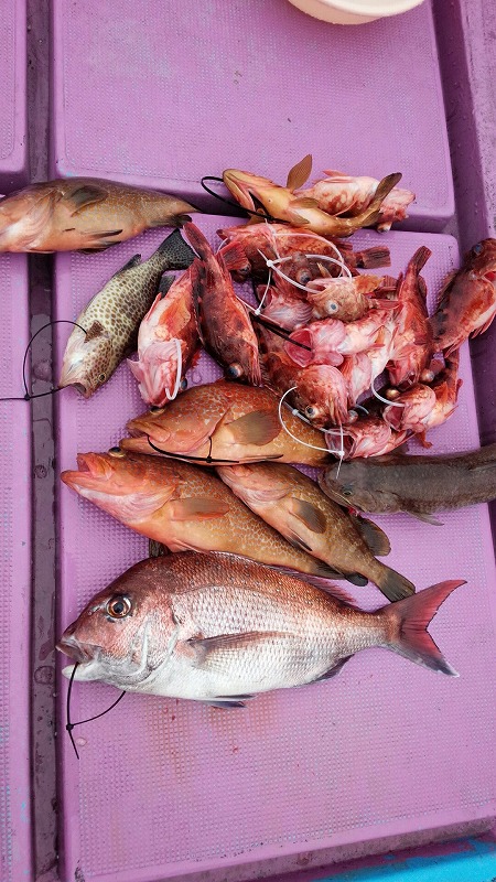 ���i�C���[�W