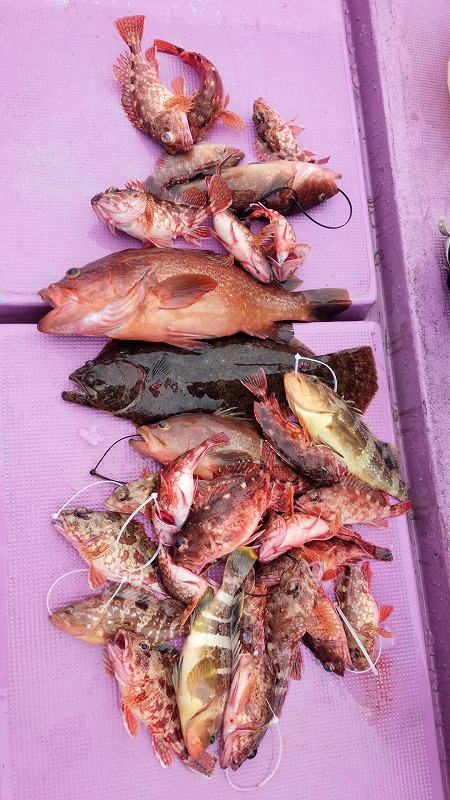 ���i�C���[�W