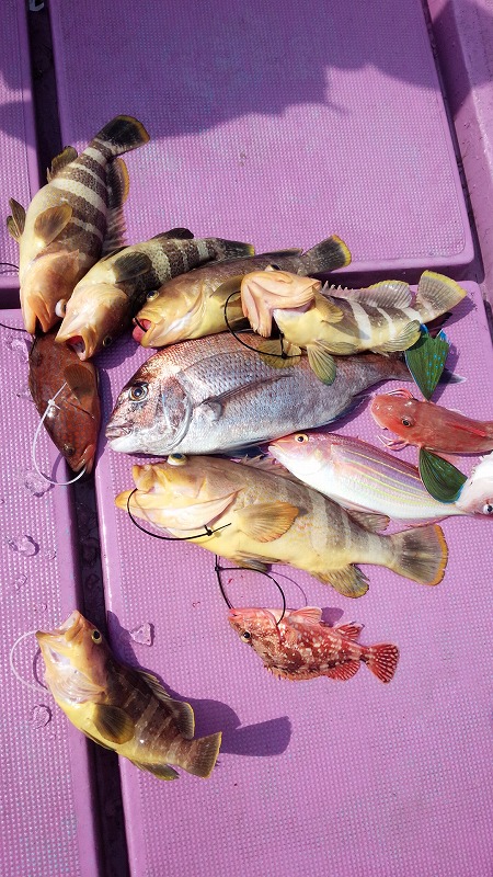 ���i�C���[�W