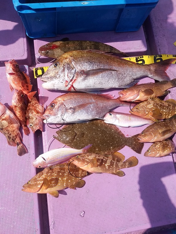 ���i�C���[�W